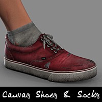 Canvas Shoes and Socks for V4