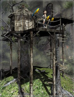 The Treehouse