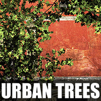 Urban Trees