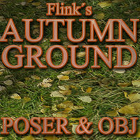 Flinks Autumn Ground