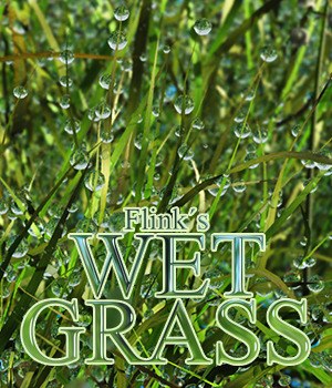 Flinks Wet Grass