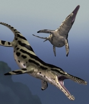 Kronosaurus DR