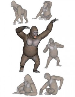 Gorilla Poses