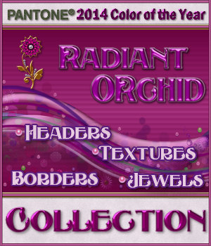 The Radiant Orchid Collection