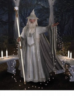 Wizard Of Light