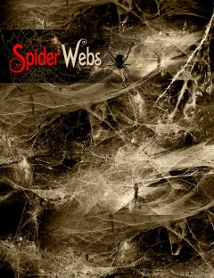 Ron's Spider Webs