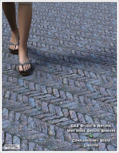 DAZ Studio 4 Historical Flooring Shaders