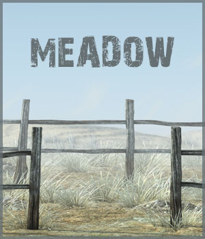 Meadow