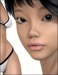 Asian Skin Merchant Resource Texture Kit for Genesis 2 Female(s)