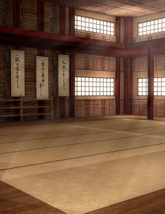 Martial Arts Dojo Interior