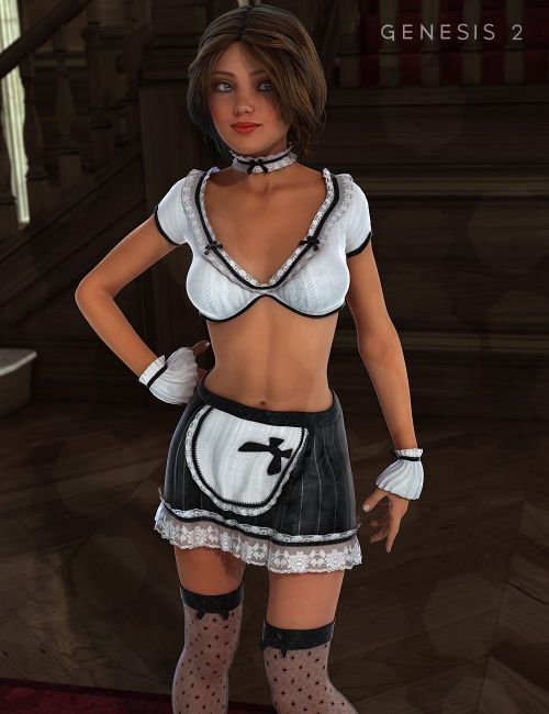 Sexy Maid Outfit Textures 3d Models for Daz Studio and Poser