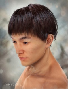 Sai Fon Hair for Genesis 2 Male(s)