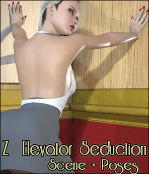 Z Elevator Seduction