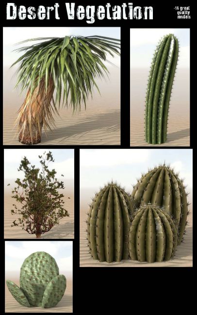 Desert Vegetation | 3d Models for Daz Studio and Poser