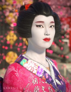 Mei Lin 6 Geisha Make-ups