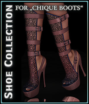 Shoe Collection for Chique Boots