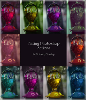 Tinting Photoshop Actions