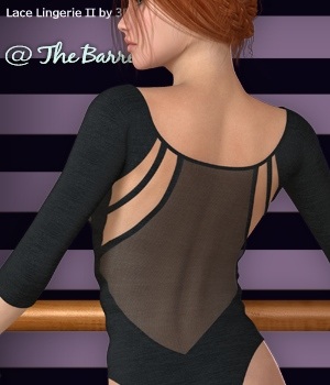 @ The Barre- Lace Lingerie II