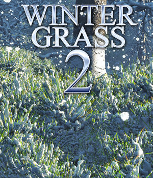 Flinks Winter Grass 2