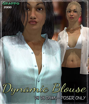 Dynamic Blouse