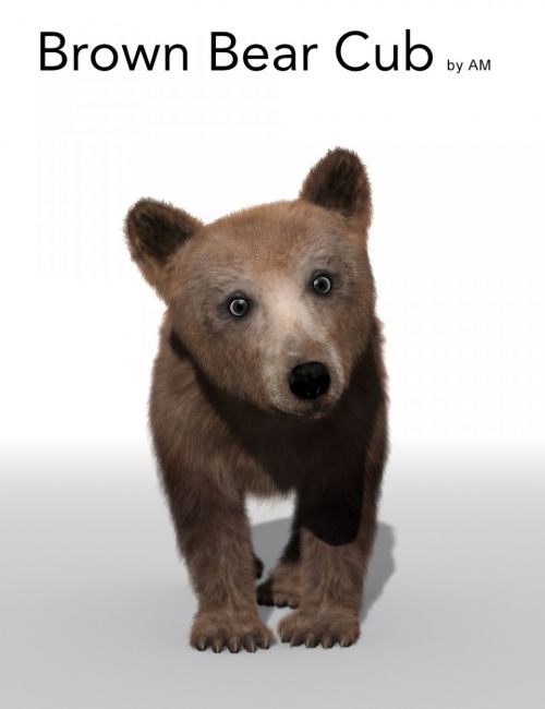Brown Bear Cub by AM