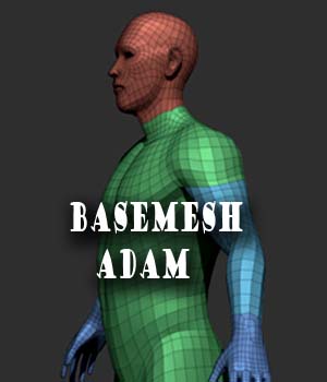 BaseMesh Adam