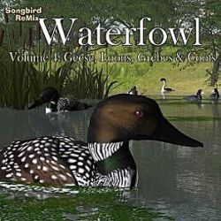 Songbird ReMix Waterfowl Vol 4- Geese, Loons, Grebes & Coots