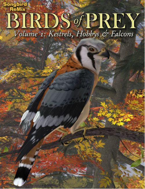 Songbird ReMix Birds of Prey  Vol 1 - Kestrels, Hobbys & Falcons