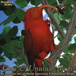 Songbird ReMix Cool & Unusual Birds