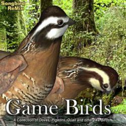 Songbird ReMix Gamebirds
