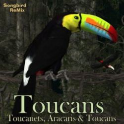 Songbird ReMix Toucans