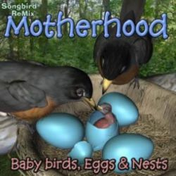 Songbird ReMix Motherhood