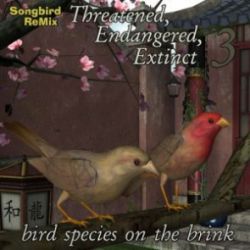 Songbird ReMix Threatened, Endangered, Extinct 3