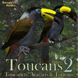 Songbird ReMix Toucans 2