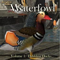 Songbird ReMix Waterfowl Vol 1 - Dabbling Ducks