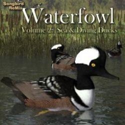 Songbird ReMix Waterfowl Vol 2- Sea & Diving Ducks