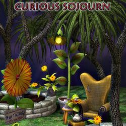 A Curious Sojourn