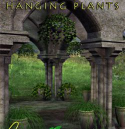 Hanging Plants