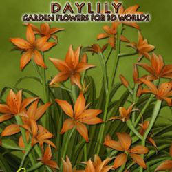 Daylily