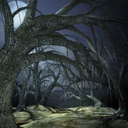 Creepy Trees II