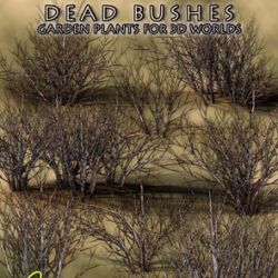 Dead Bushes