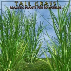 Tall Grass