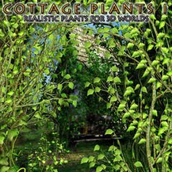 Cottage Plants I