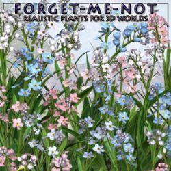 Lisa's Botanicals- Forget-Me-Not