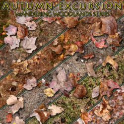 Autumn Excursion