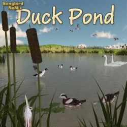 Songbird ReMix Duck Pond