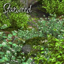 Starweed