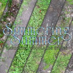 Simmering Summer