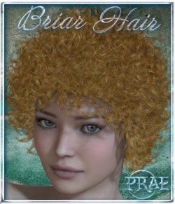 Prae-Briar Hair