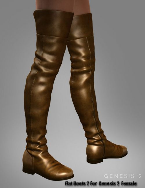 Click here to see preview images for "Flat Boots 2 for Genesis 2 Female(s)" Flat Boots 2 for Genesis 2 Female(s)